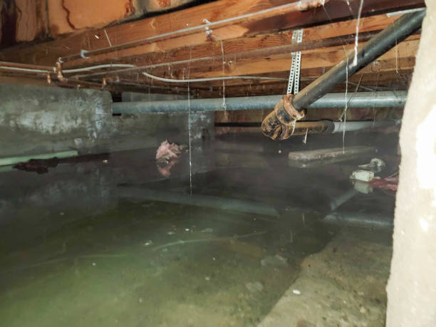 Best 24/7 water damage repair  in Gallatin, TN