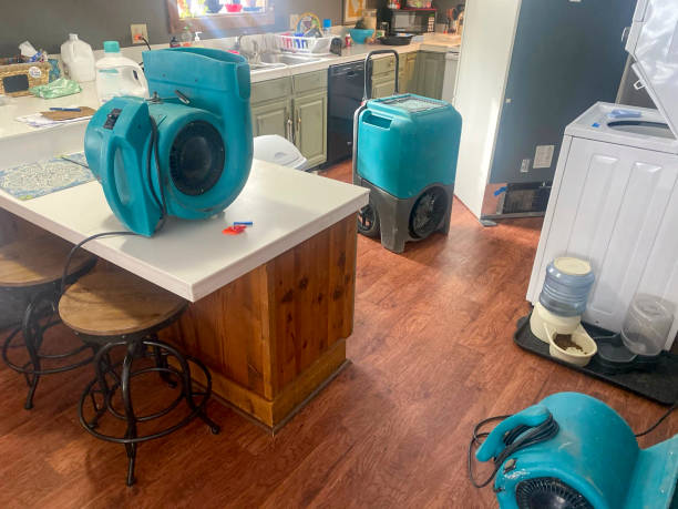 Best Ceiling water damage repair  in Gallatin, TN