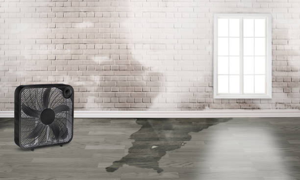 Water damage restoration insurance claims in TN