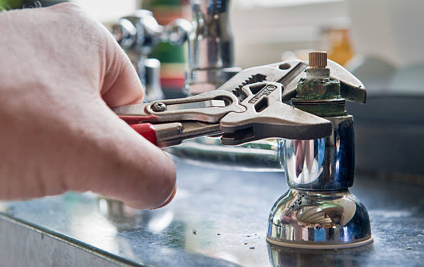 Best Basement water damage restoration  in Gallatin, TN