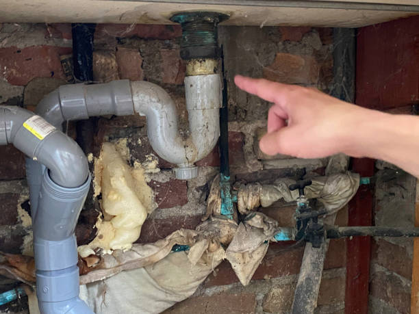 Best Water damage cleanup near me  in Gallatin, TN