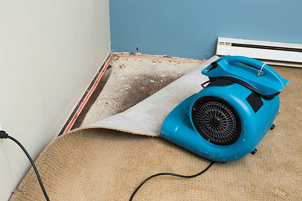  Gallatin, TN Water damage restoration Pros